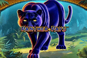 Playtech : Panther Pays - HEROBET168