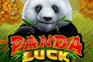 Playtech : Panda Luck - HEROBET168