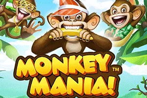 Playtech : Monkey Mania - HEROBET168